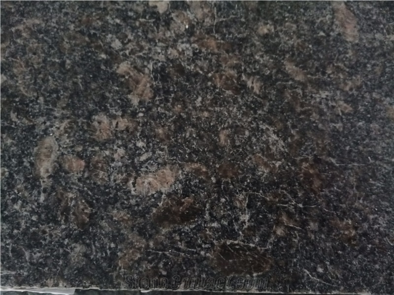 Black Venezuela Granite Slabs, Grey Leona Granite Slabs, Tiles-Gris Leona Granite