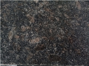 Black Venezuela Granite Slabs, Grey Leona Granite Slabs, Tiles-Gris Leona Granite