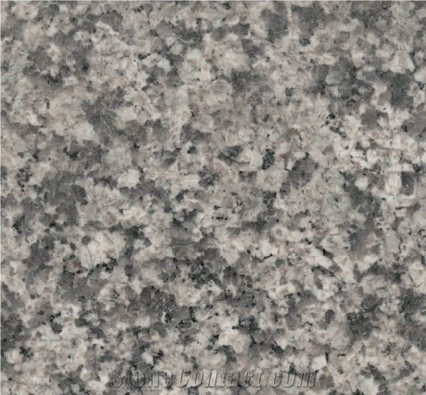 Platinum Grey Granite Tiles & Slabs- Gris Platino Granite