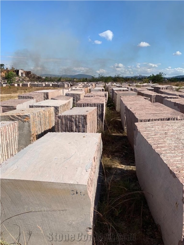 Savana Orchids Granite Blocks, Orquidea Sabana Granite Block