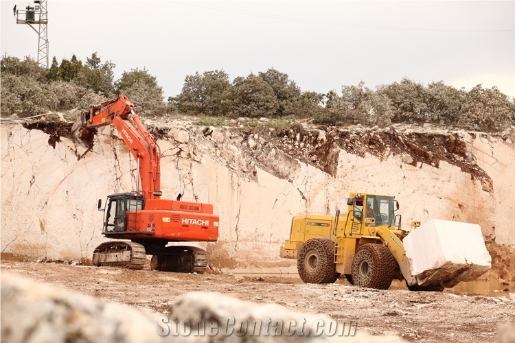 Amasya Regal Spoty Beige Marble Quarry