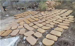 Flagstone Stepping Stone- Ting Stone