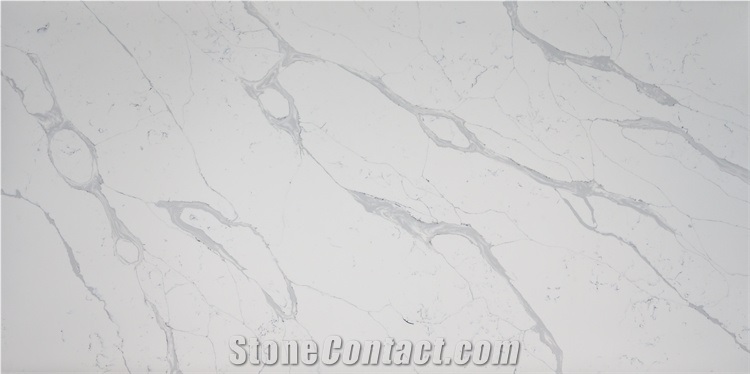 Big Slab Of Calacutta White Quartz Stone Gray Grey Color