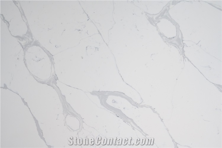 Big Slab Of Calacutta White Quartz Stone Gray Grey Color