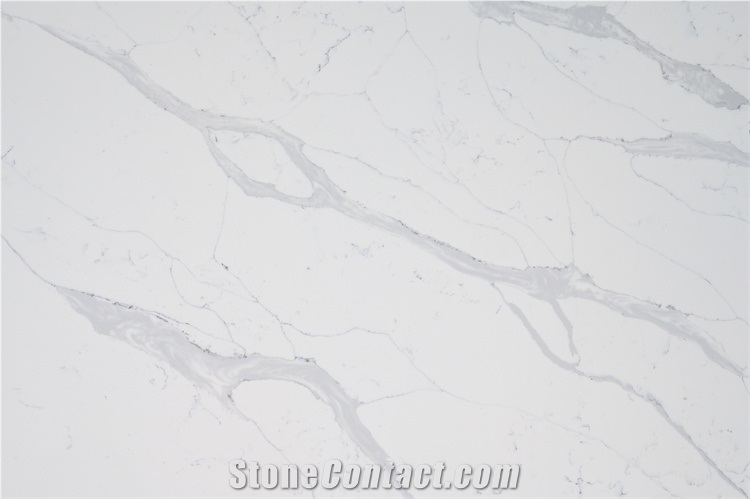 Big Slab Of Calacutta White Quartz Stone Gray Grey Color