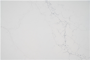 Detail Quartz Slab In White Grey Color