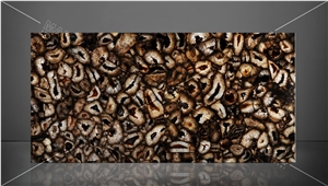 Agate Atena Gold Semiprecious Stone Backlit Panels