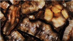 Agate Phoenix Giant Semiprecious Stone Slabs