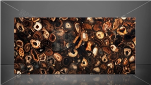 Agate Umbra Giant Semiprecious Stone