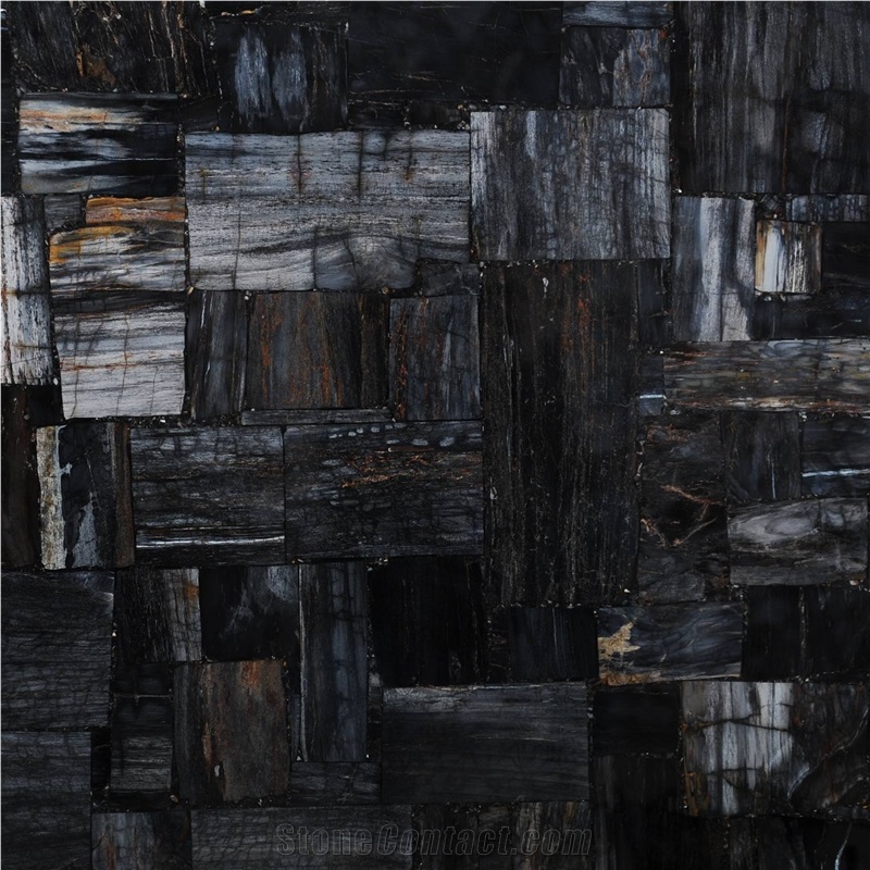 Petrified Wood Black Jurassic Semiprecious Stone Slabs