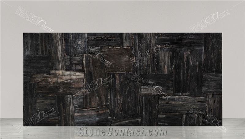 Petrified Wood Black Retro Semiprecious Stone Slabs