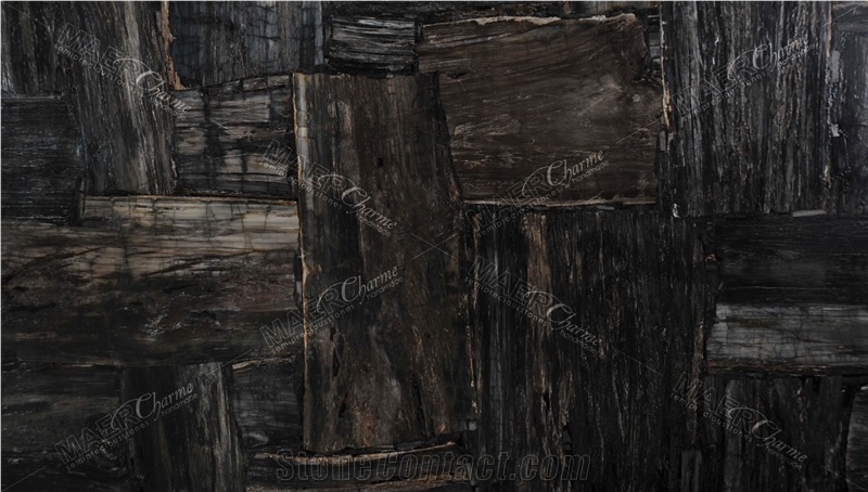 Petrified Wood Black Retro Semiprecious Stone Slabs