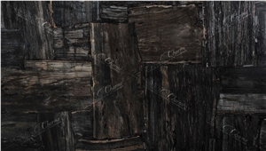 Petrified Wood Black Retro Semiprecious Stone Slabs