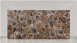 Petrified Wood Brown Semiprecious Stone