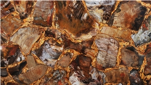Petrified Wood Brown With Gold Semiprecious Stone Slabs