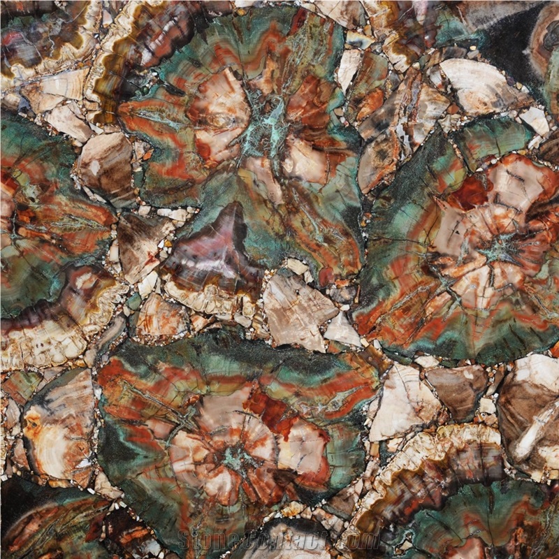 Petrified Wood Green Semiprecious Stone Slabs