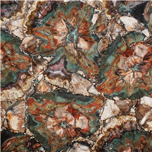 Petrified Wood Green Semiprecious Stone Slabs