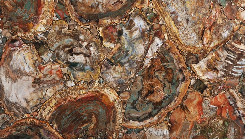Petrified Wood Green Semiprecious Stone Slabs