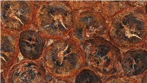 Red Petrified Wood Semiprecious Stone Slabs