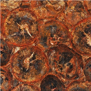 Red Petrified Wood Semiprecious Stone Slabs