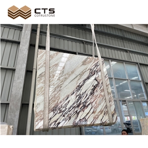 Bulgari Calacatta Purple Marble Slab Tiles For Home Wall