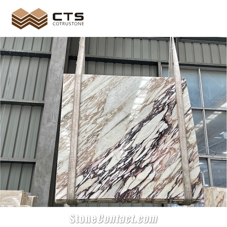 Bulgari Calacatta Purple Marble Slab Tiles For Home Wall