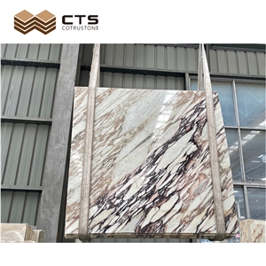 Bulgari Calacatta Purple Marble Slab Tiles For Home Wall