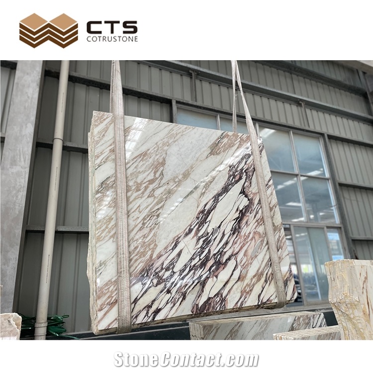 Bulgari Calacatta Purple Marble Slab Tiles For Home Wall