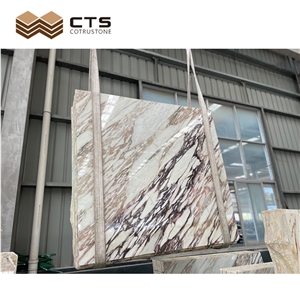 Bulgari Calacatta Purple Marble Slab Tiles For Home Wall