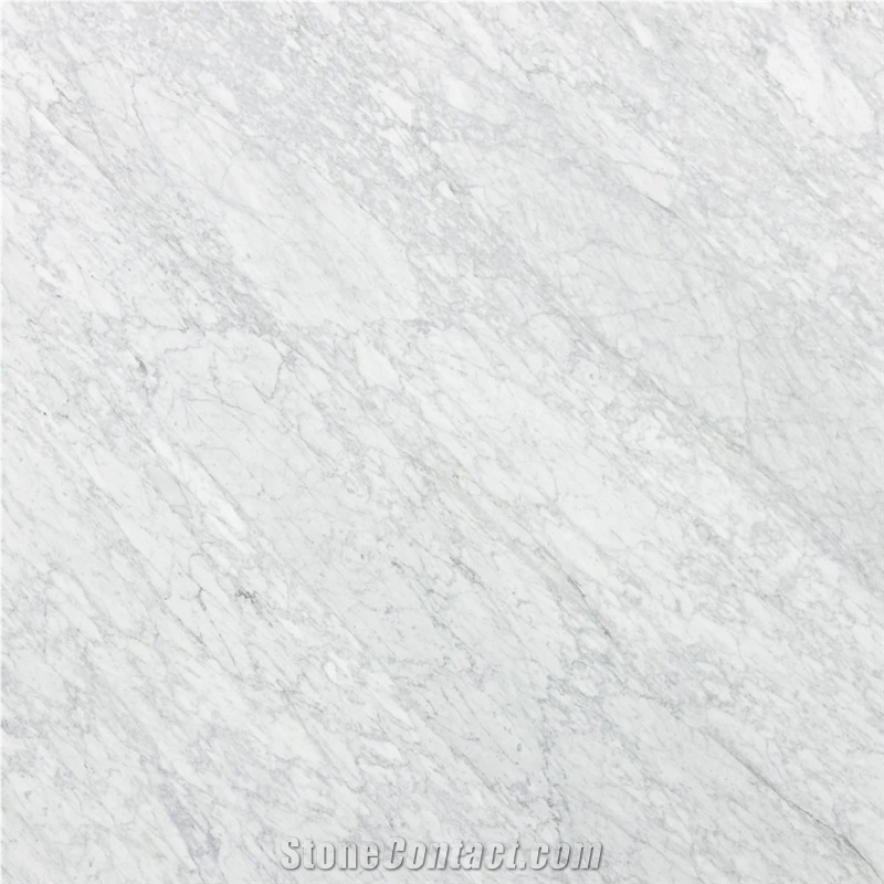 Bianco Venatino Carrara Marble Wall Tiles