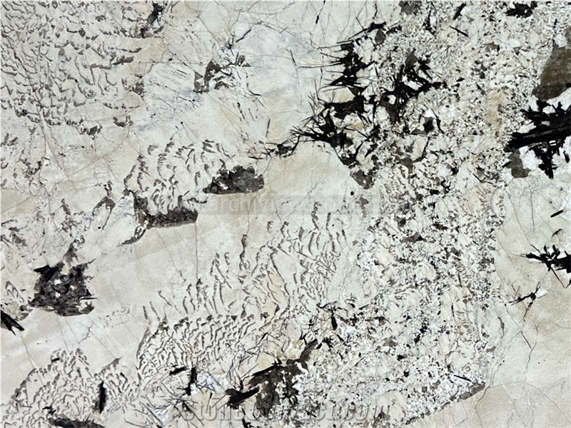 Blanc Du Blanc Granite Slab Tiles For Kitchen