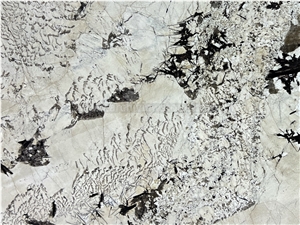 Blanc Du Blanc Granite Slab Tiles For Kitchen