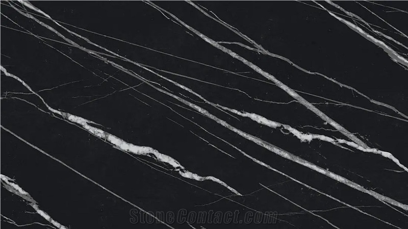 Marquina Venato Porcelain
