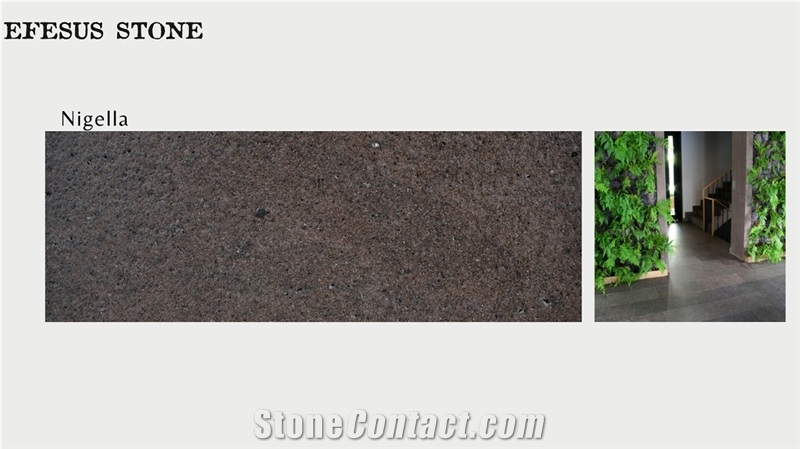 Ankara Andesite