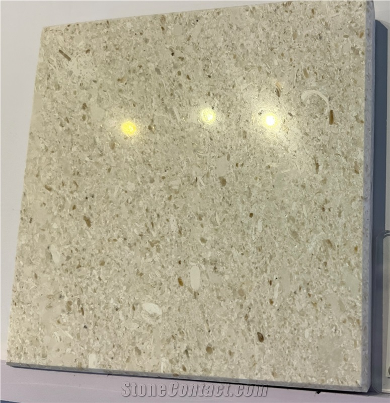 Hot Beige Limestone With Shell Polish  Wall Floor