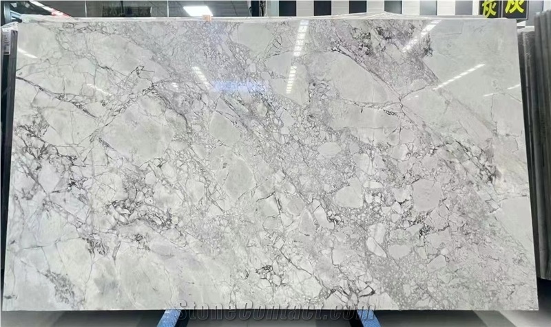 Hot Brazil Calacatta Grey Quartzite Slab
