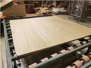 Roman Beige  Hole Travetine Slabs Vein Cut