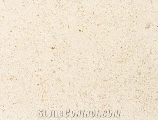 Moleanos B2 Nude Hazelnut Limestone