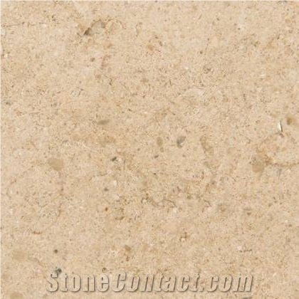 Moleanos B3 Nude Peanut Limestone