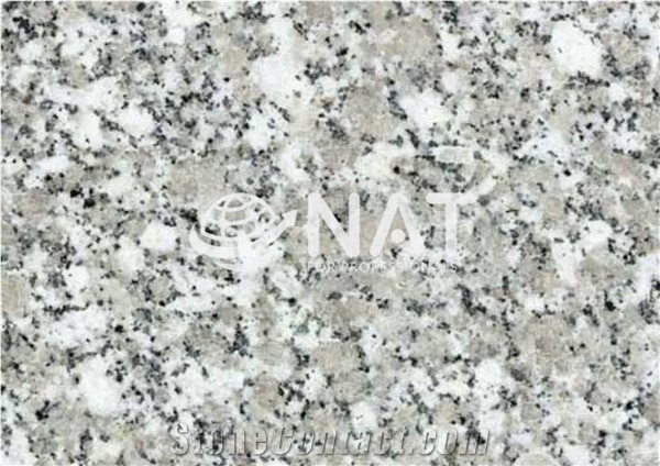 G603 Vietnam White Granite Forest White SL Polished Stairs