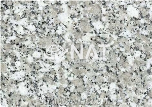 G603 Vietnam White Granite Forest White SL Polished Stairs