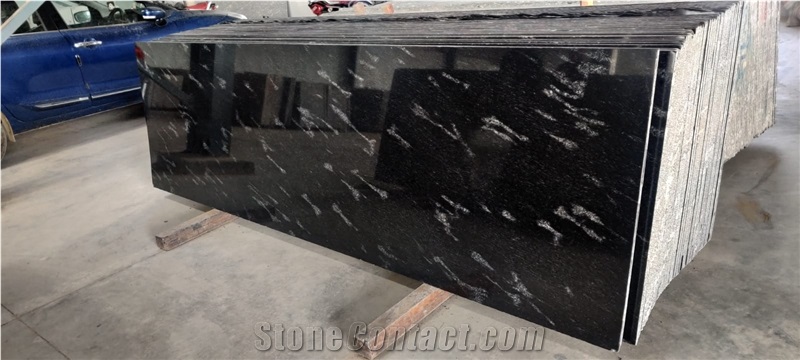 Fish Black Granite Slabs