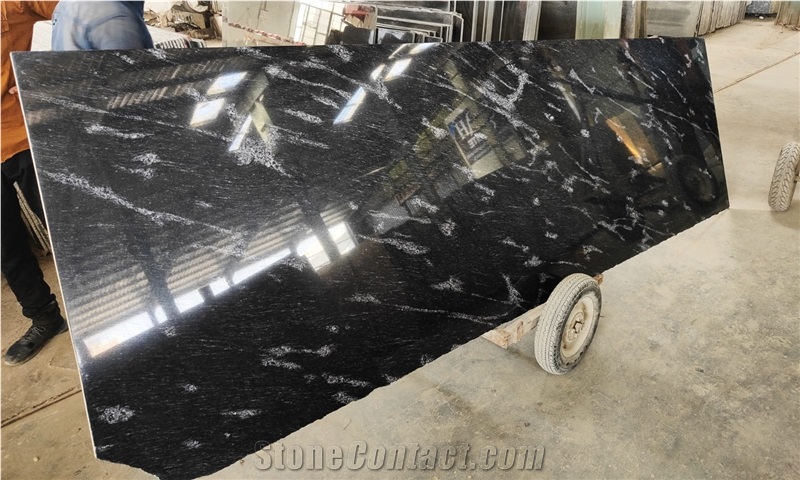 Fish Black Granite Slabs
