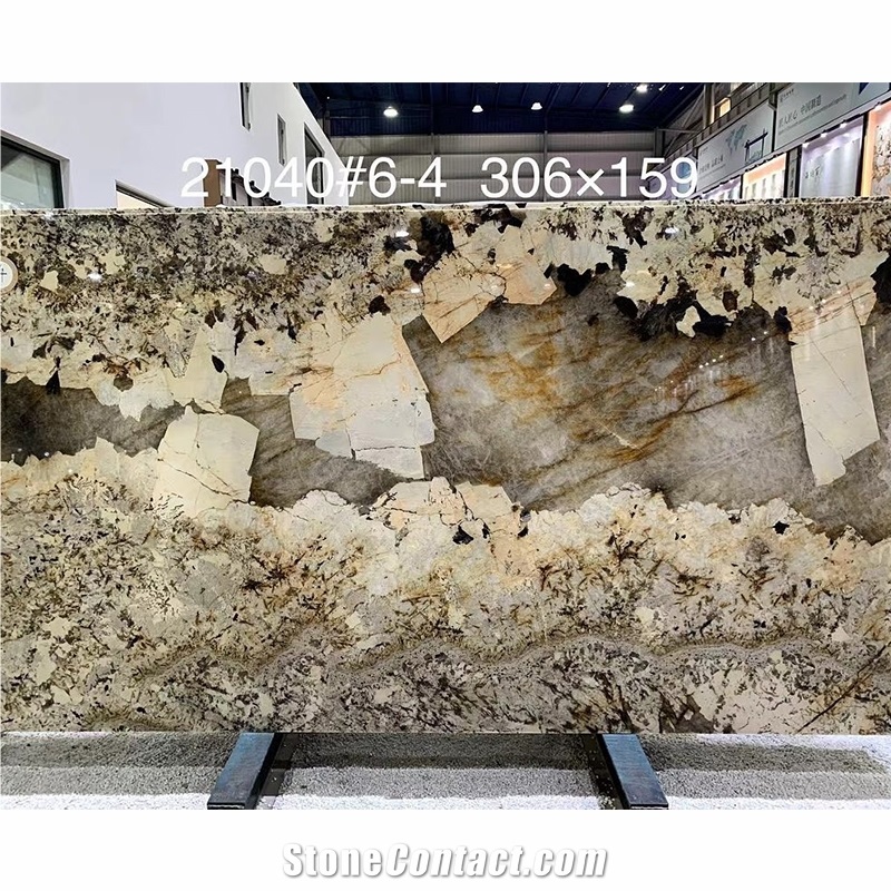 Luxury Exotic Patagonia Quartzite For Background Wall Design