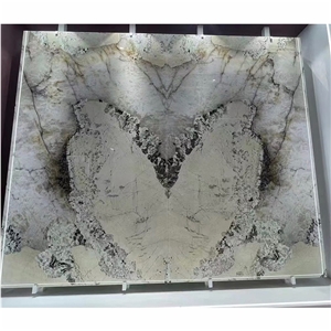 Luxury Exotic Patagonia Quartzite For Background Wall Design