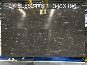 High Quality Polished Cygnus Quartzite Slab For Countertop