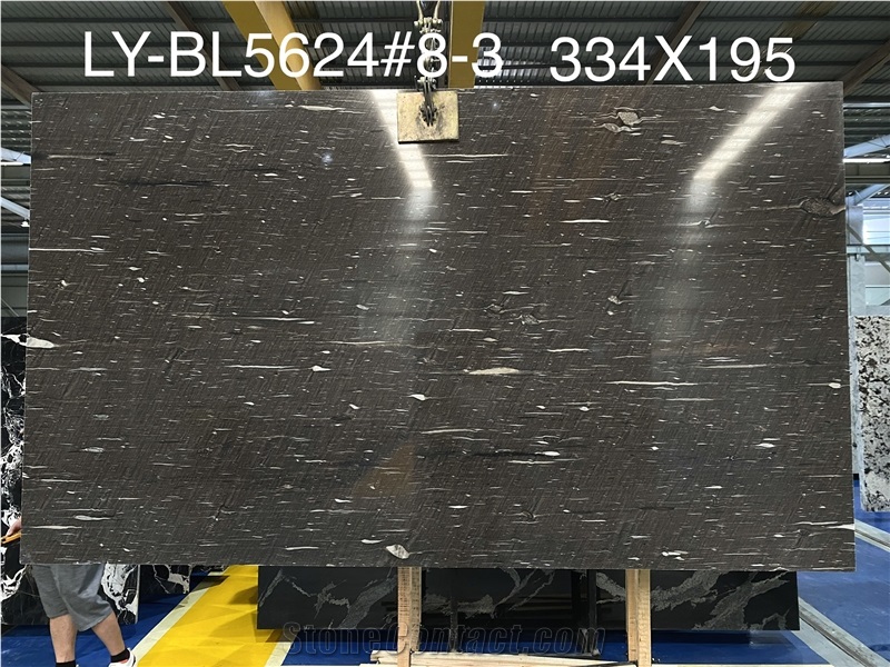 High Quality Polished Cygnus Quartzite Slab For Countertop