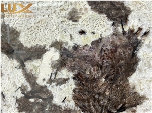 Bookmatch Backlit Branco Tourmaline Granite Slabs For Wall