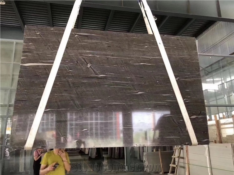 Brazil Brown Albireo Quartzite,Cygnus Quartzite Slabs