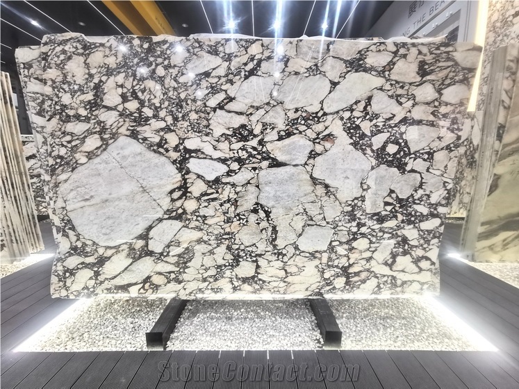 Calacatta Viola Marble Slabs,Breccia Viola Marble
